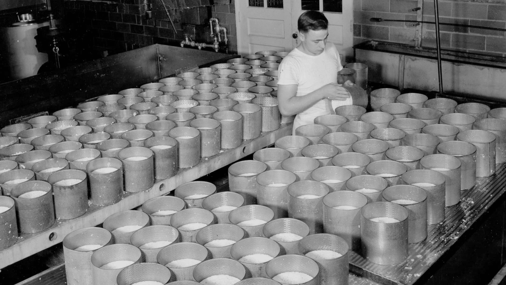The Art of American Cheese