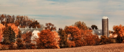 Photo of the Maytag Dairy farm in the fall